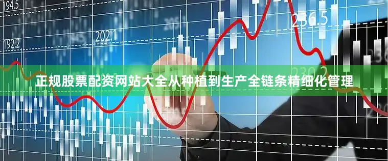 正规股票配资网站大全从种植到生产全链条精细化管理