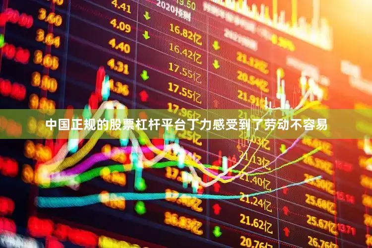中国正规的股票杠杆平台丁力感受到了劳动不容易