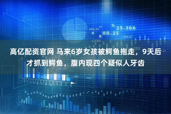 高亿配资官网 马来6岁女孩被鳄鱼拖走，9天后才抓到鳄鱼，腹内现四个疑似人牙齿