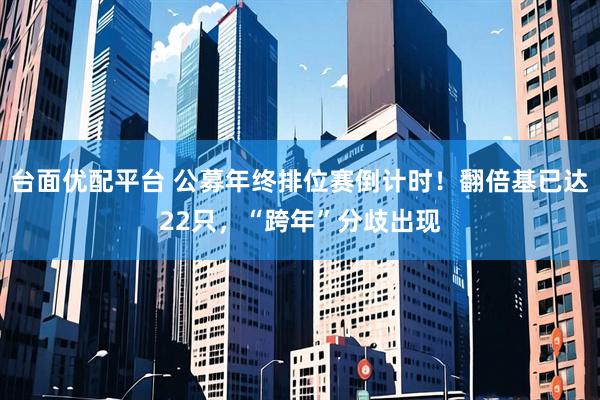 台面优配平台 公募年终排位赛倒计时！翻倍基已达22只，“跨年”分歧出现