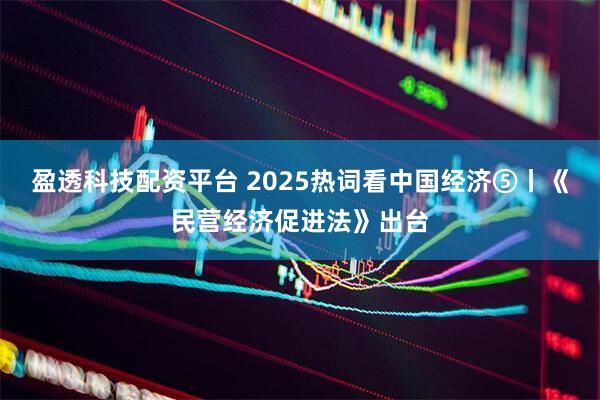 盈透科技配资平台 2025热词看中国经济⑤丨《民营经济促进法》出台